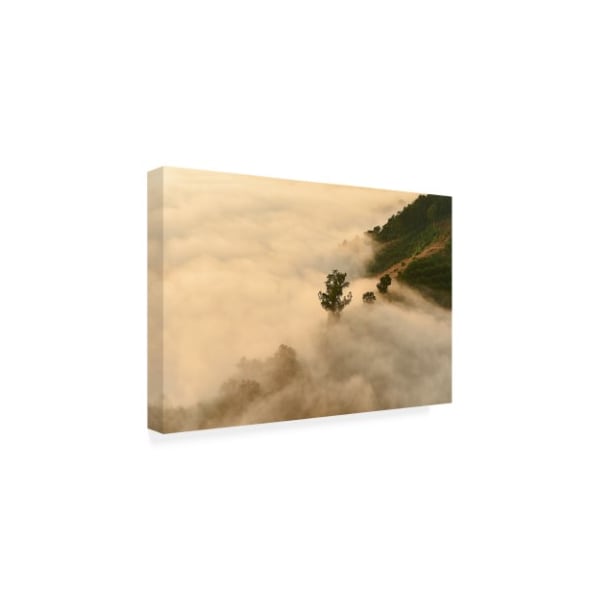 PhotoINC Studio 'Clouds Trees' Canvas Art,30x47